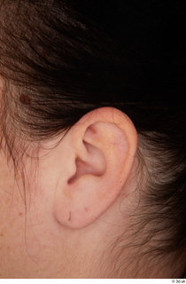 Street  845 ear 0001.jpg